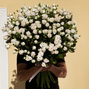 Букет из 27 кустовых роз (80 см) в Шатуре