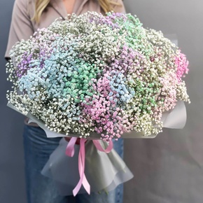 Букет "Леденец" из 25 радужных гипсофил  в Шатуре