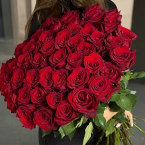 Букет 51 роза Эквадор Эксплорер (60 см) в Шатуре