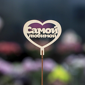 Топпер Самой Любимой в Шатуре