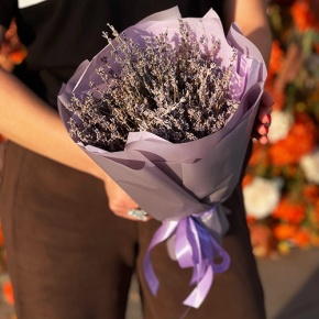 Букет лаванды (сухоцвет) в Шатуре