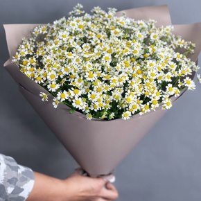 Букет из 17 ромашек танацетум в Шатуре
