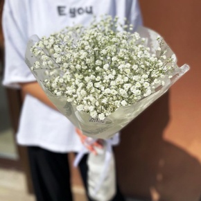 Букет из 5 белых гипсофил в Шатуре