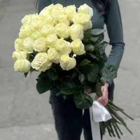 Монобукет из 25 роз Эквадор Мондиаль (80 см) в Шатуре