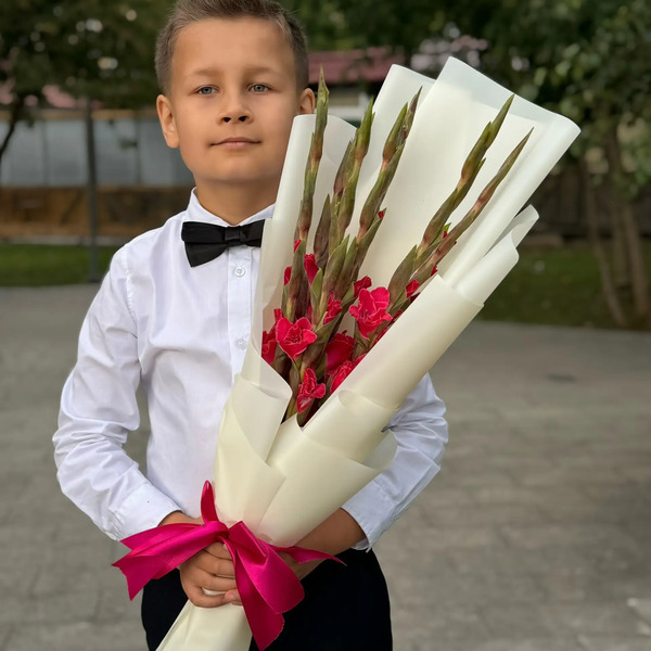 Букет на 1 сентября из 7 малиновых гладиолусов в Шатуре