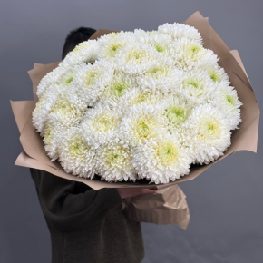 Букет из 27 хризантем Магнум в Шатуре