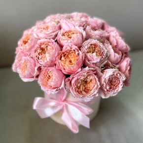 Композиция в шляпной коробке из кустовой пионовидной розы Джульетта в Шатуре