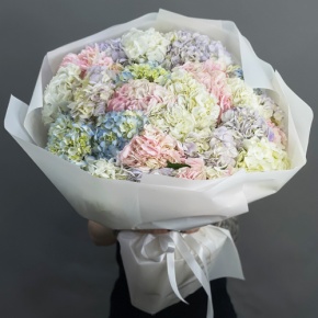 Букет из 23 гортензий микс в Шатуре