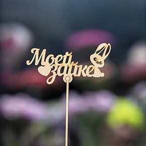 Топпер моей зайке в Шатуре