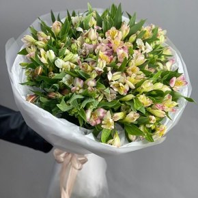 Букет "Зарина" из 37 альстромерий микс в Шатуре