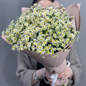 Букет из 17 полевых ромашек в Шатуре