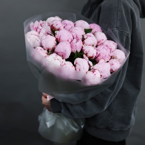 Букет из 25 пионов Сара Бернар в Шатуре