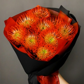 Букет из 9 лейко в Шатуре