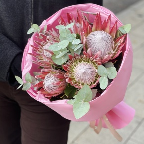 Букет из 5 протей и эвкалипта в Шатуре