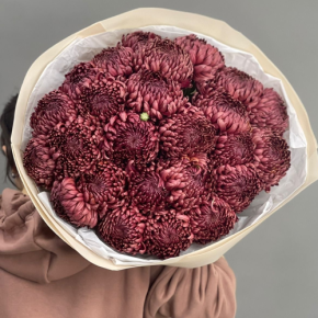 Букет 21 шоколадной хризантемы Бигоуди в Шатуре