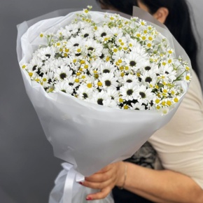 Букет "Понарошку" из хризантем сантини и ромашек в Шатуре