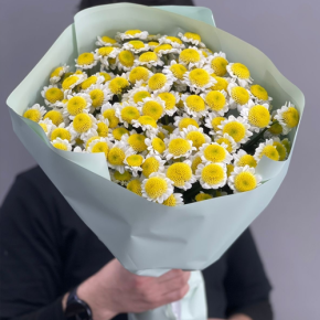 Букет "Моё солнышко" из 17 хризантем сантини  в Шатуре