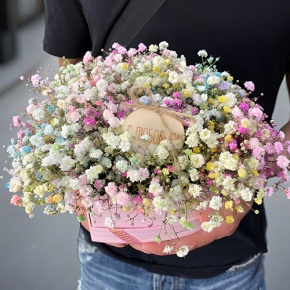 Композиция в коробке сердца из радужных гипсофил с топпером в Шатуре