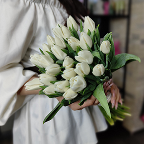 Букет белоснежных тюльпанов (25 шт) в Шатуре