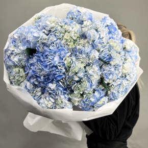 Букет из 23 синих гортензий в Шатуре