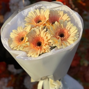 Букет из 5 персиковых гербер в Шатуре