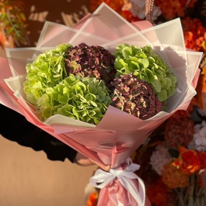 Букет из Голландских гортензий микс в Шатуре