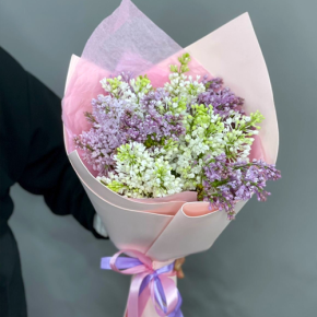 Букет из 11 веток сирени микс в Шатуре