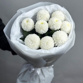 Букет из 9 белых хризантем Момоко в Шатуре