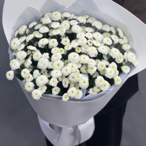 Букет "Белая дымка" из 25 хризантем сантини в Шатуре