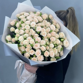 Букет из 25 кремовых кустовых роз (70 см) в Шатуре