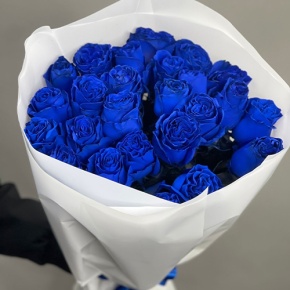 25 синих роз Эквадор (60 см) в Шатуре