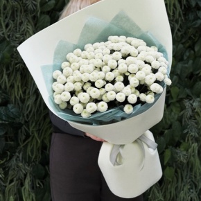 Букет из 25 хризантем Ньютон в Шатуре