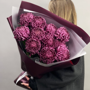 Букет "Изобилие" из 11 винных хризантем Бигоуди в Шатуре