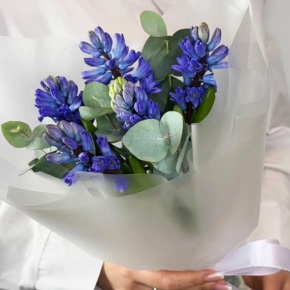 Букет "Мини" из 5 ароматных гиацинтов и эвкалипта в Шатуре