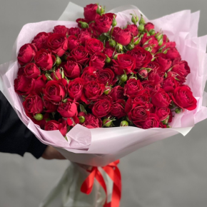 Букет из 17 красных кустовых пионовидных роз (50 см) в Шатуре