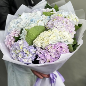 Букет из 9 Голландских гортензий микс в Шатуре