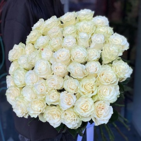 Букет из 51 розы Эквадор Мондиаль под ленту (80 см) в Шатуре