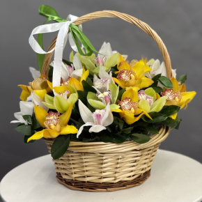 Композиция в корзине из 25 орхидей микс в Шатуре