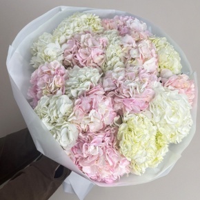 Букет из 17 нежных гортензий в Шатуре