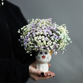 Композиция из гипсофил в керамическом кашпо в Шатуре