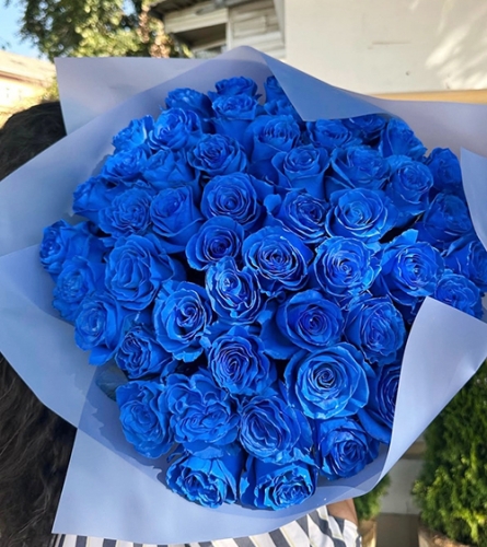Букет из 51 синей розы Эквадор (60 см) в Шатуре