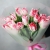 Букет "Фламинго" из 11 пионовидных тюльпанов в Шатуре Букет "Фламинго" из 11 пионовидных тюльпанов в Шатуре