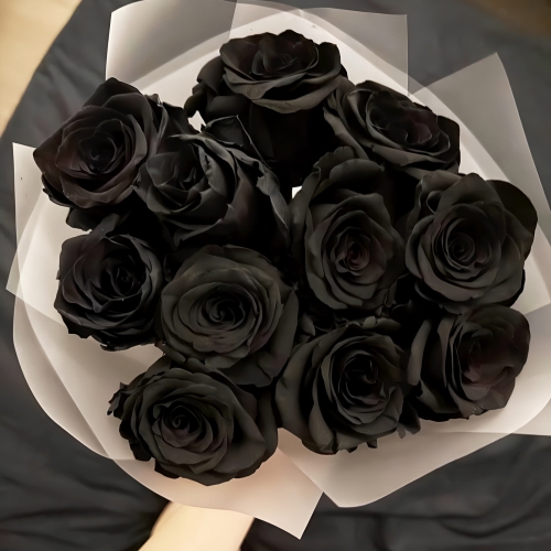 Букет "Черная королева" из 11 черных роз Эквадор (60 см) в Шатуре