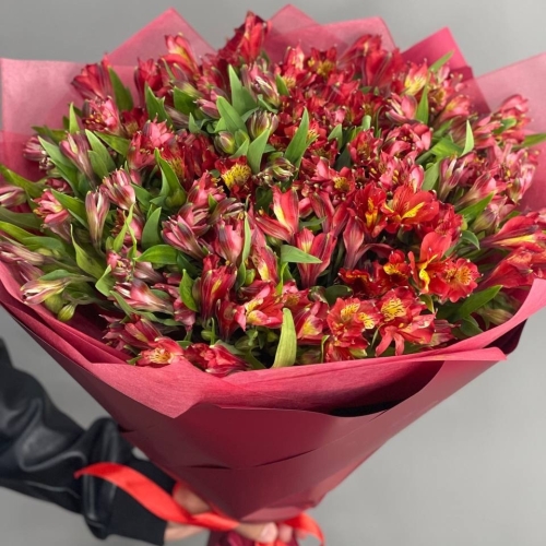 Монобукет из 25 красных альстромерий в Шатуре