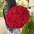 Букет 51 красной розы 50 см в Шатуре Букет 51 красной розы 50 см в Шатуре