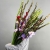 Букет из 25 гладиолусов микс в Шатуре Букет из 25 гладиолусов микс в Шатуре