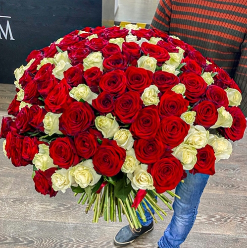Букет 151 роза красный и белый микс (60 см) в Шатуре