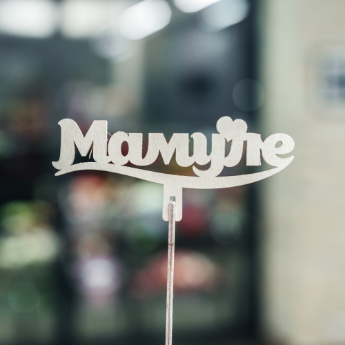 Топпер Мамуле в Шатуре