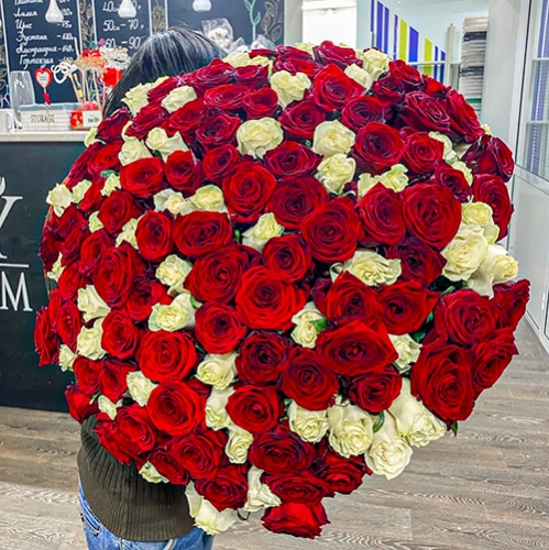 Букет 151 роза красный и белый микс (60 см) в Шатуре