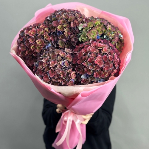 Букет из 5 космических Голландских гортензий в Шатуре